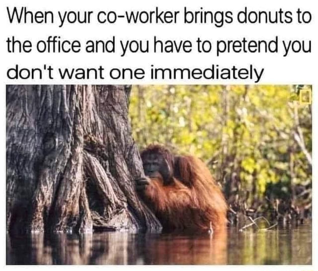 When your co-worker brings donuts to the office and you have to pretend ...