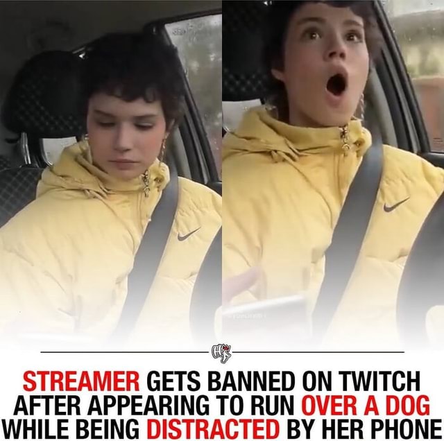 STREAMER GETS BANNED ON TWITCH AFTER APPEARING TO RUN OVER A DOG WHILE ...