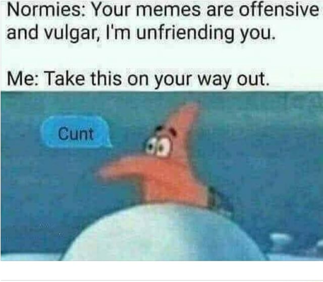 Normies: Your memes are offensive and vulgar, I'm unfriending you ...