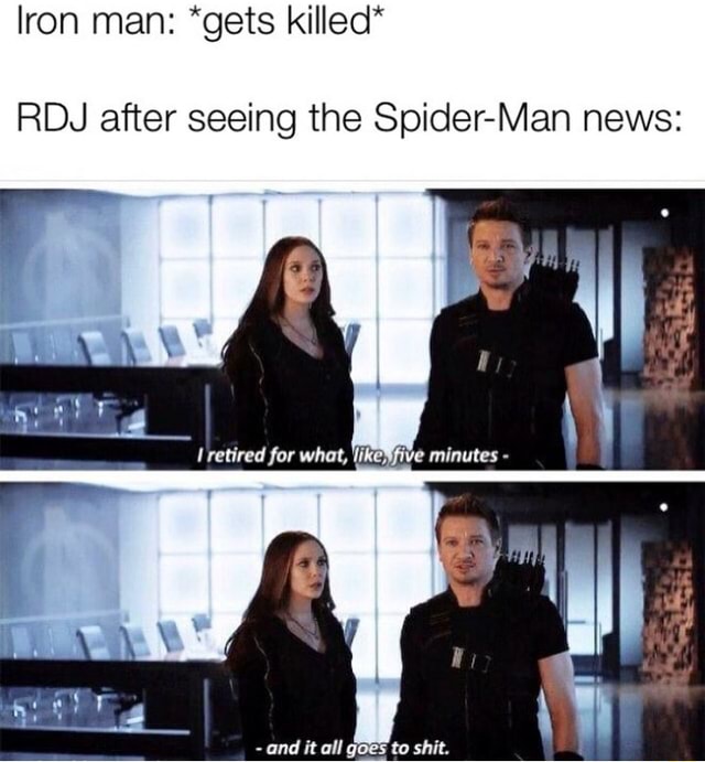 *gets RDJ after seeing the Spider-Man news: - iFunny