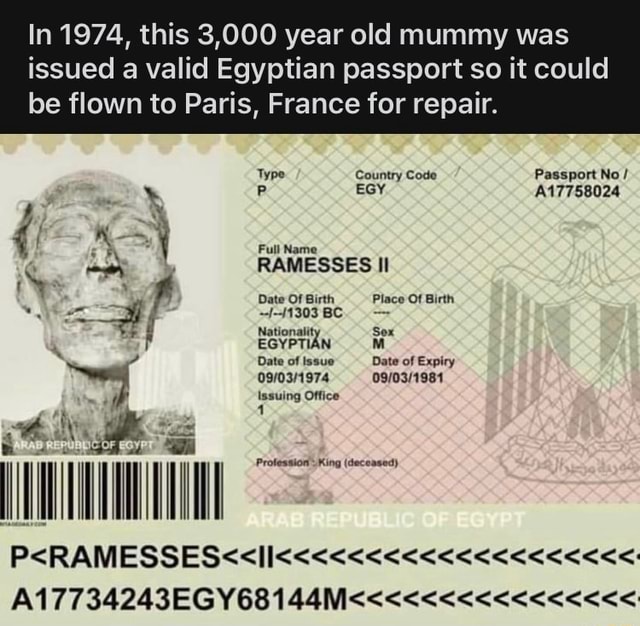 In 1974, this 3,000 year old mummy was issued a valid Egyptian passport ...