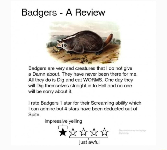 Badgers A Review Badgers are very sad creatures that I do not give a