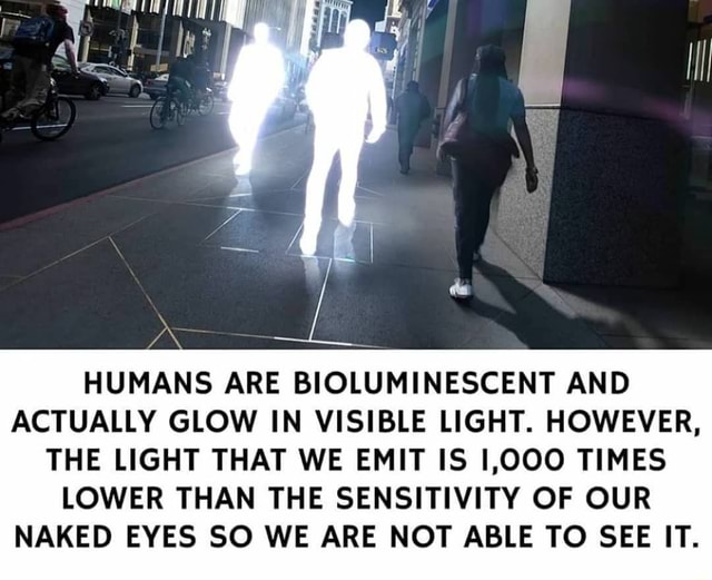 HUMANS ARE BIOLUMINESCENT AND ACTUALLY GLOW IN VISIBLE LIGHT. HOWEVER ...