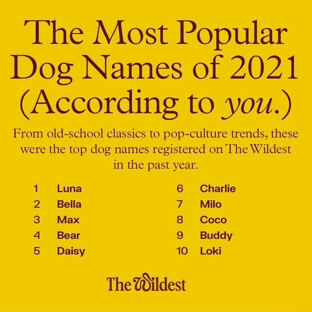 'The Most Popular Dog Names of 2021 (According to you.) From oldschool