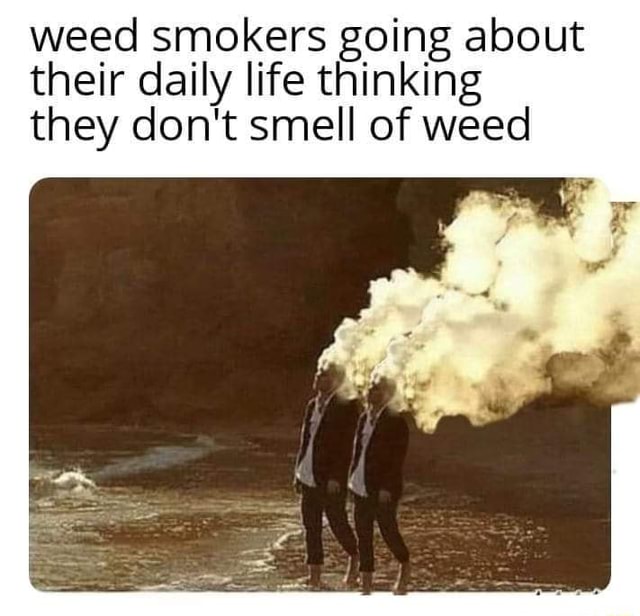 Weed smokers going about their daily life thinking they don't smell of