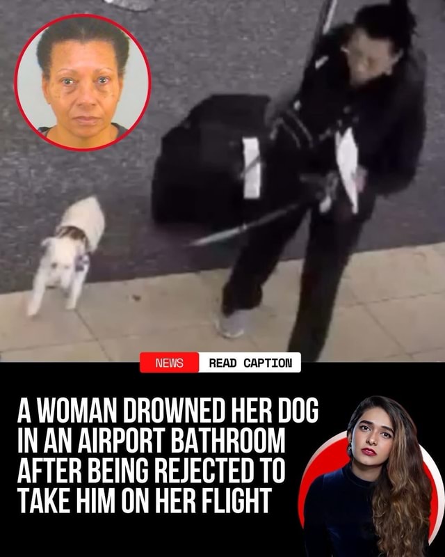 READ CAPTION NEWS I A WOMAN DROWNED HER DOG IN AN AIRPORT BATHROOM ...