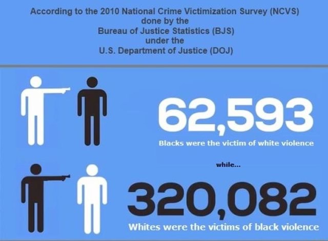 According To The 2010 National Crime Victimization Survey Ncvs Done By The Bureau Of Justice 