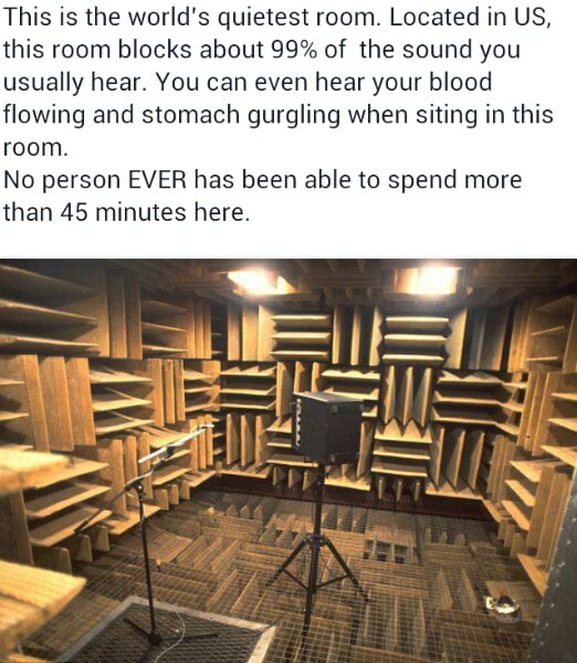 This Is The World's Quietest Room. Located In US, This Room Blocks ...