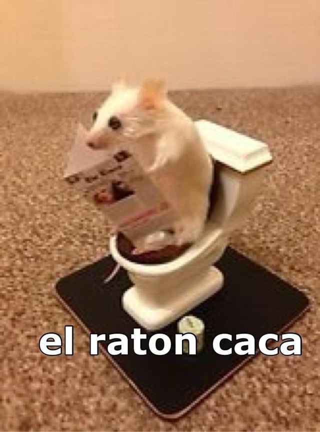 El raton caca - iFunny