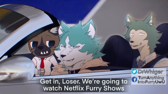 Gei in, Loser. We're going to watch Netflix Furry Shows - iFunny