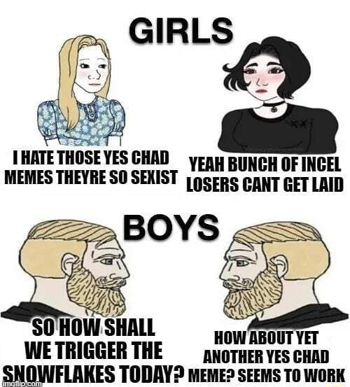 HATE THOSE YES CHAD MEMES THEYRE SO SEXIST .BOYS SO HOW SHALL WW ABOUT ...