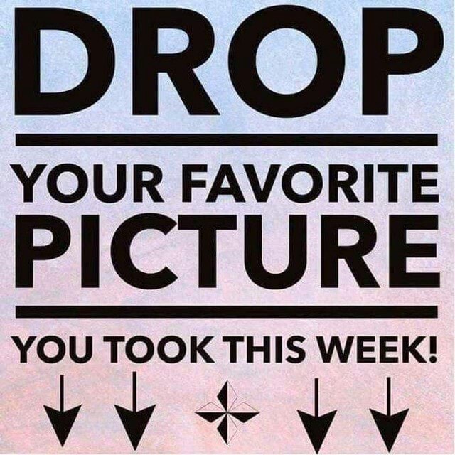 DROP YOUR FAVORITE PICTURE YOU TOOK THIS WEEK! - America’s best pics ...