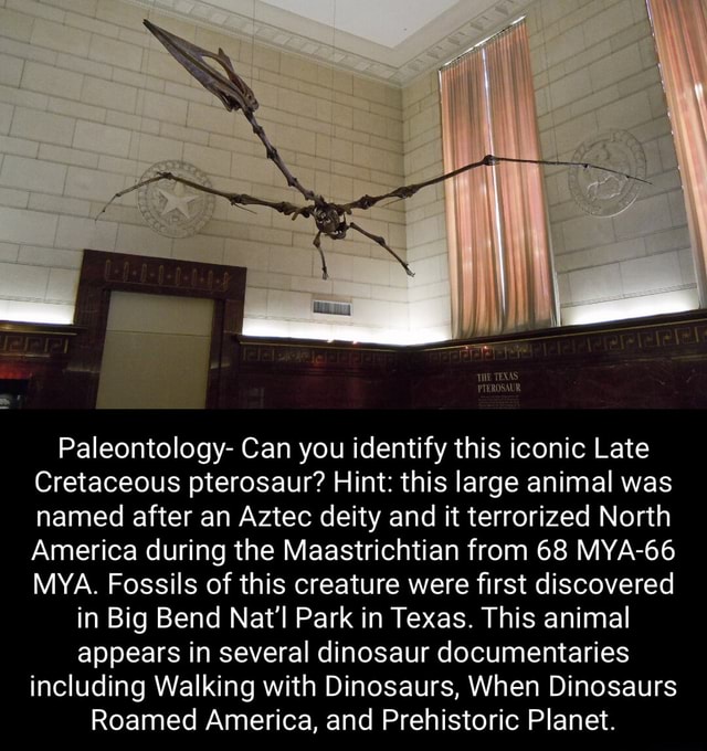 THE TEXAS PTEROSAUR. Paleontology- Can you identify this iconic Late ...