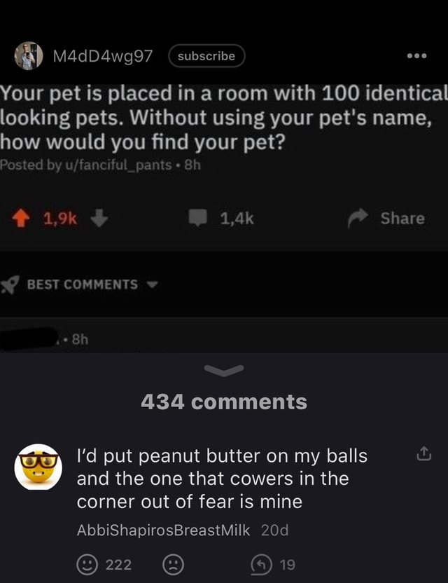 M4dD4wg97 subscribe Your pet is placed in a room with 100 identical