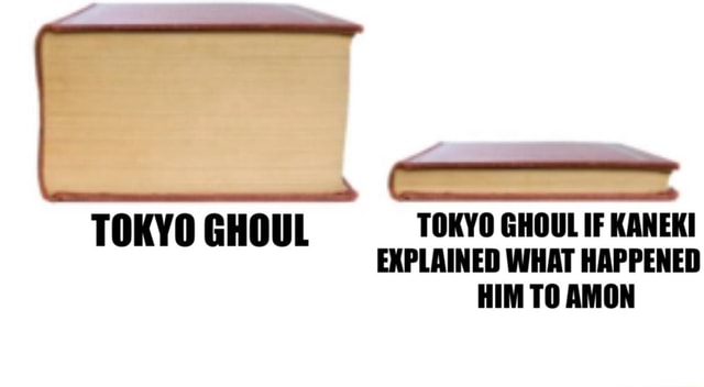 TOKYO GHOUL TOKYO GHOUL IF KANEKI EXPLAINED WHAT HAPPENED HIM TO AMON - What Happened To Amon In Tokyo Ghoul
