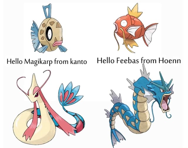 Hello Magikarp from kanto Hello Feebas from Hoenn - iFunny