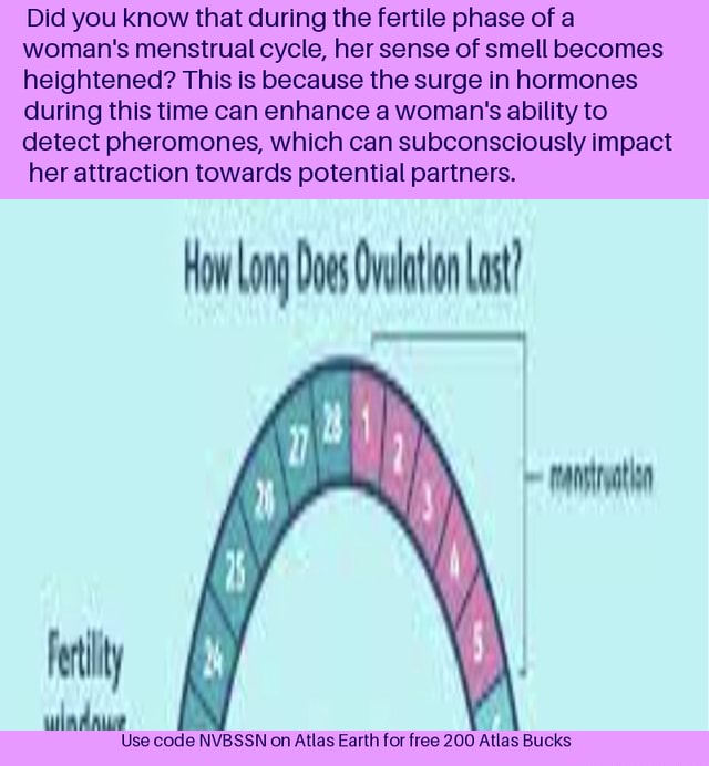 Did you know that during the fertile phase of a woman's menstrual cycle