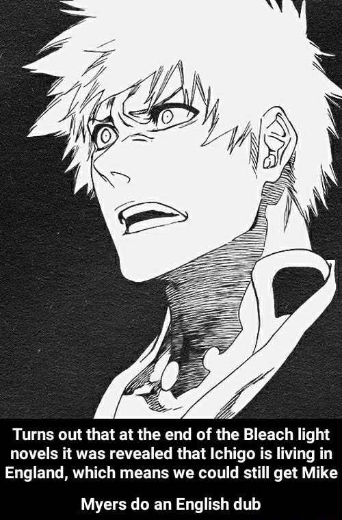 Turns out that at the end of the Bleach light novels it was revealed