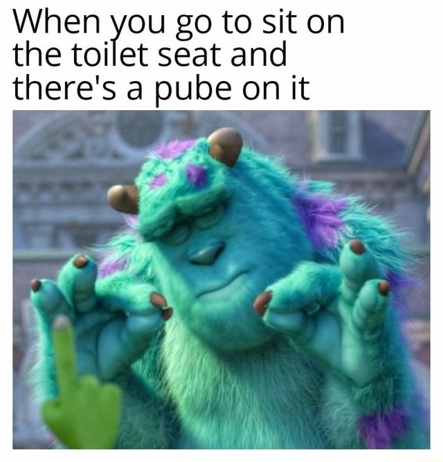When you go to sit on the toilet seat and there's a pube on it iFunny