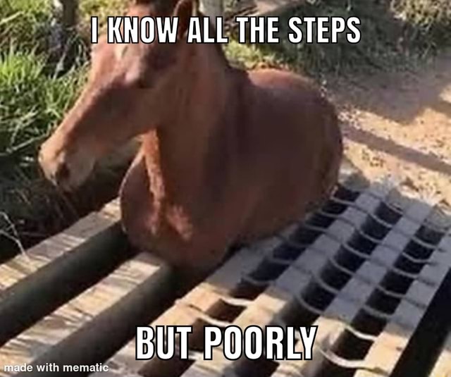 I KNOW ALL THE STEPS BUT POORLY made with memat - iFunny