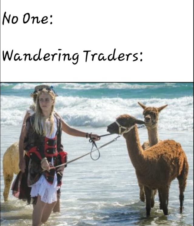 No One Wandering Traders iFunny