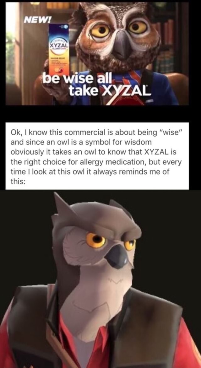 Ok, I know this commercial is about being “wise” and since an owl is a