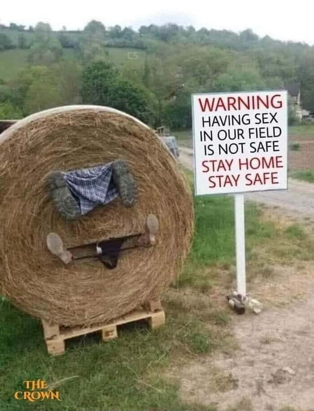 WARNING HAVING SEX IN OUR FIELD IS NOT SAFE STAY HOME STAY SAFE THE CROWN -  iFunny Brazil