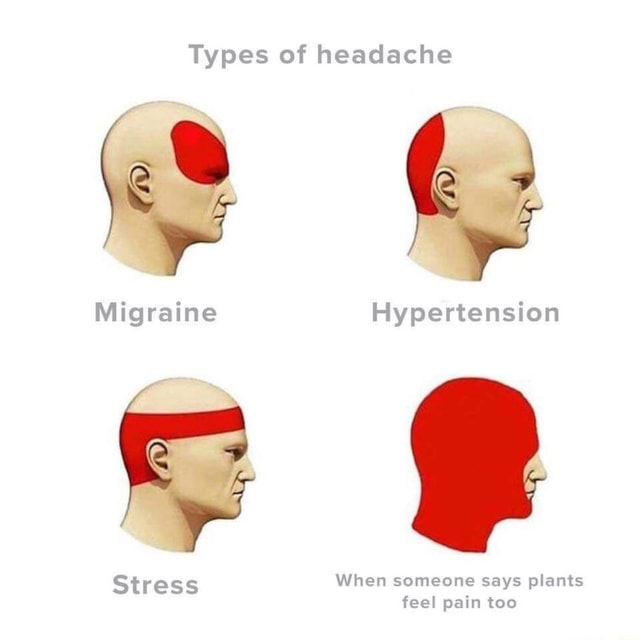 Types of headache Stress feel pain too iFunny