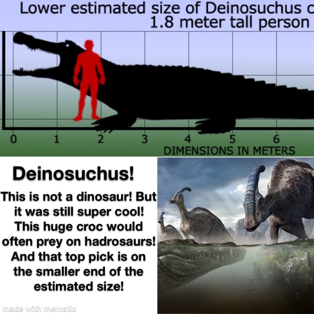 Deinosuchus hatcheri is possibly the largest crocodylomorph of all-time, at  estimates of up to 43 feet. At this size, it could've been heavier &  possessed a more powerful bite than T. rex. 