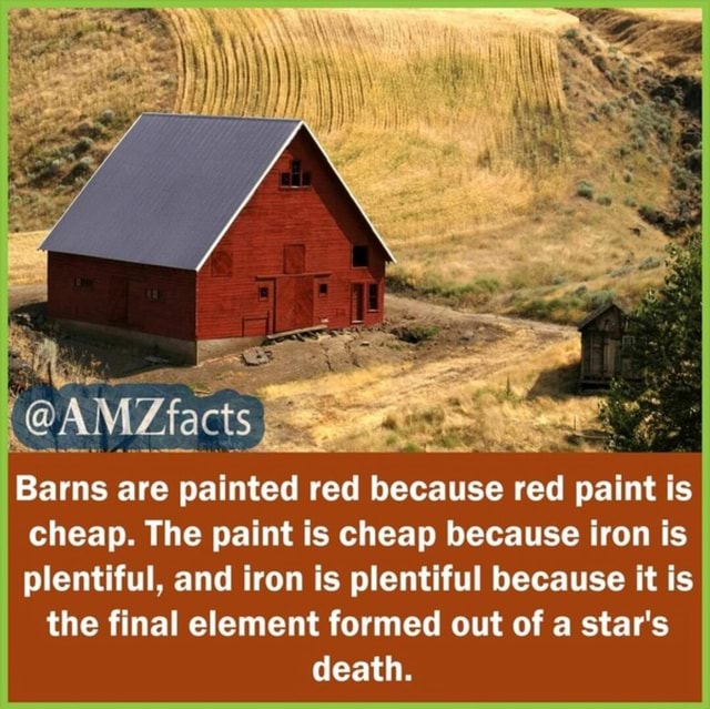 Barns are painted red because red paint is cheap. The paint is cheap