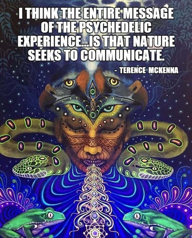 THINK THE ENTIRE MESSAGE OF THE. PSYCHEDELIC EXPERIENCE THAT NATURE ...