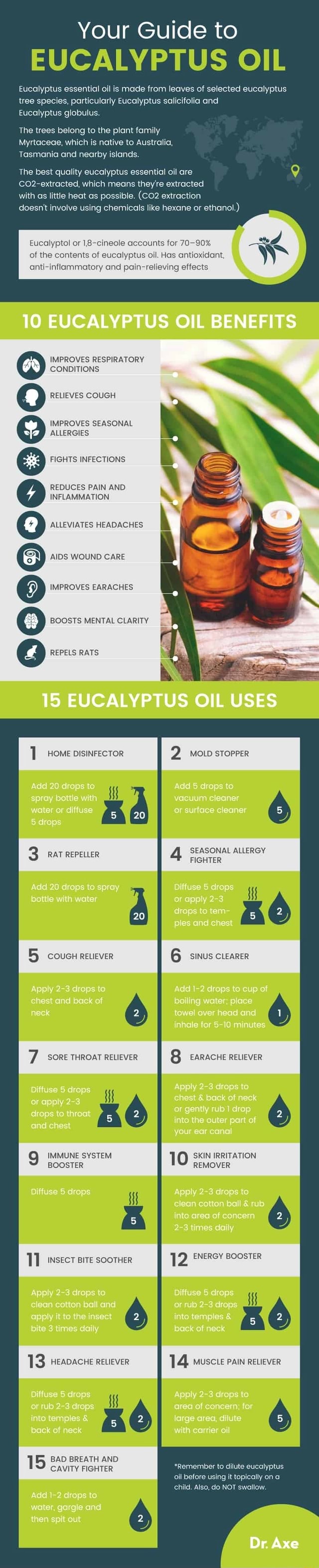 Your Guide To Eucalyptus Oil Eucalyptus Essential Oil Is Made From Leaves Of Selected Eucalyptus