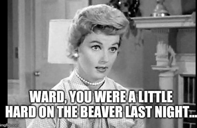 SS. WARD, YOU WERE ALITTLE HARD ON THE BEAVER LAST NIGHT... - America’s ...