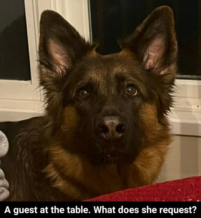 Guest at the table. What does she request? A guest at the table. What