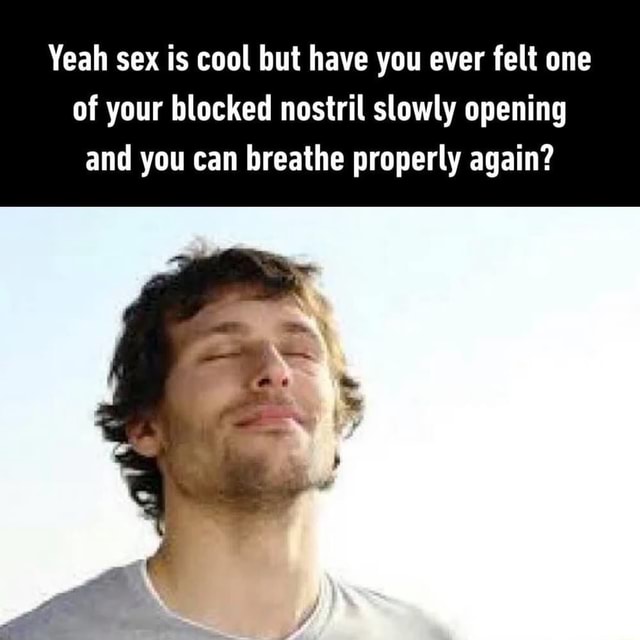 Yeah Sex Is Cool But Have You Ever Felt One Of Your Blocked Nostril Slowly Opening And You Can 4546