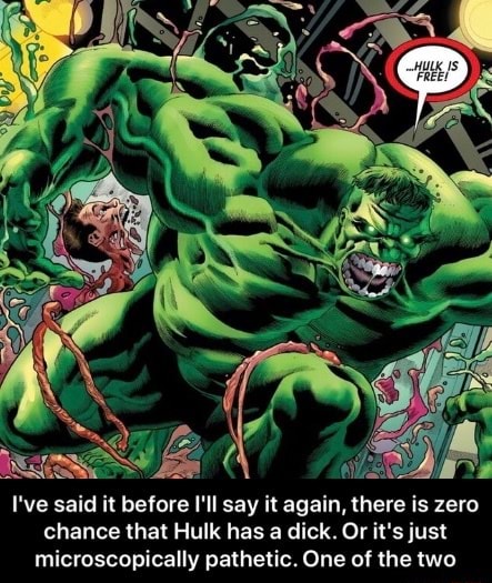 L Ve Said It Before I Ll Say It Again There Is Zero Chance That Hulk Has A Dick Or It S Just Microscopically Pathetic One Of The Two I Ve Said It Before I Ll