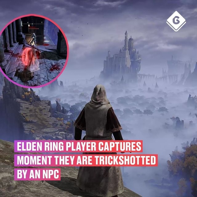 ELDEN RING PLAYER CAPTURES MOMENT THEY ARE TRICK BY AN NPC - IFunny