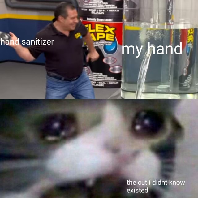 Hard sanitizer and the cut didnt know existed - iFunny