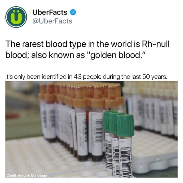 the-rarest-blood-type-in-the-world-is-rh-null-blood-also-known-as