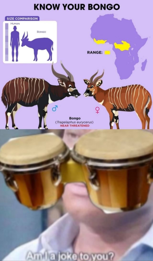 KNOW YOUR BONGO SIZE COMPARISON RANGE Bongo (Tragelaphus eurycerus