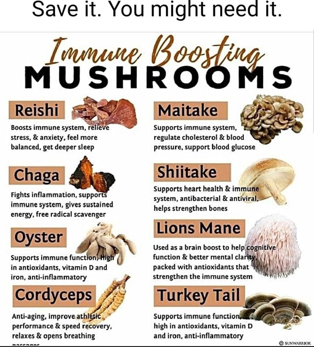 Save it. You might need it. MUSHROOMS 'Reishi "abe Boosts immune system