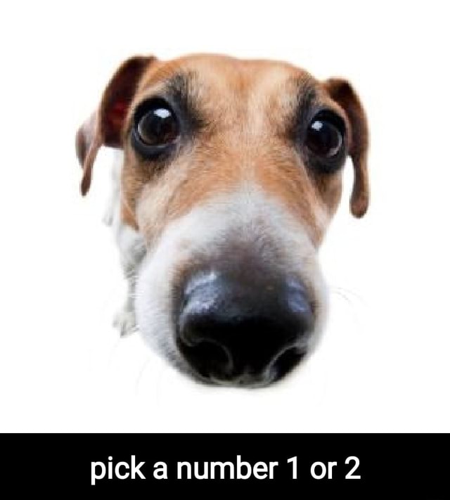 Pick a number 1 or 2 iFunny