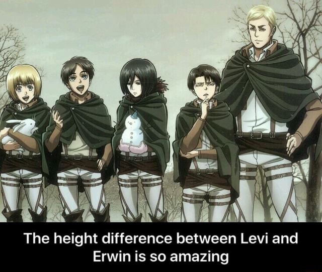 The Height Difference Between Levi And Erwin Is So Amazing Ifunny