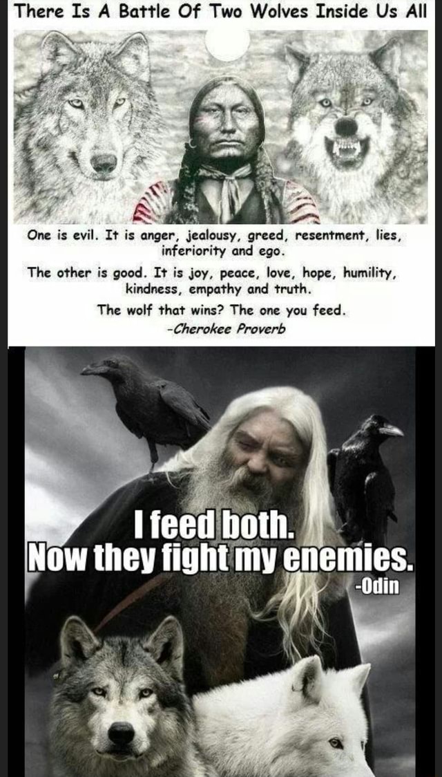 Two Wolves Cringe There Is A Battle Of Two Wolves Inside Us All One is evil. It is anger ...
