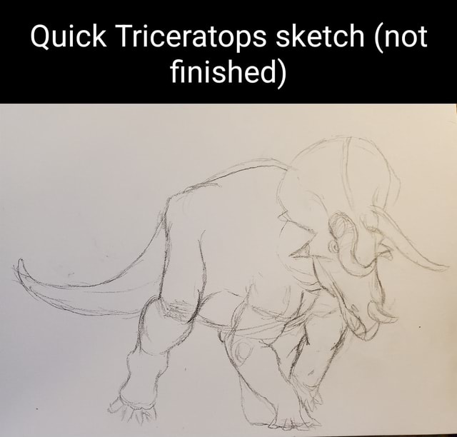 Plant-eating dinosaurs set: Triceratops, Stegosaurus, Diplodocus, hand  drawn black and white doodle sketch, ink drawing illustration Stock Photo -  Alamy