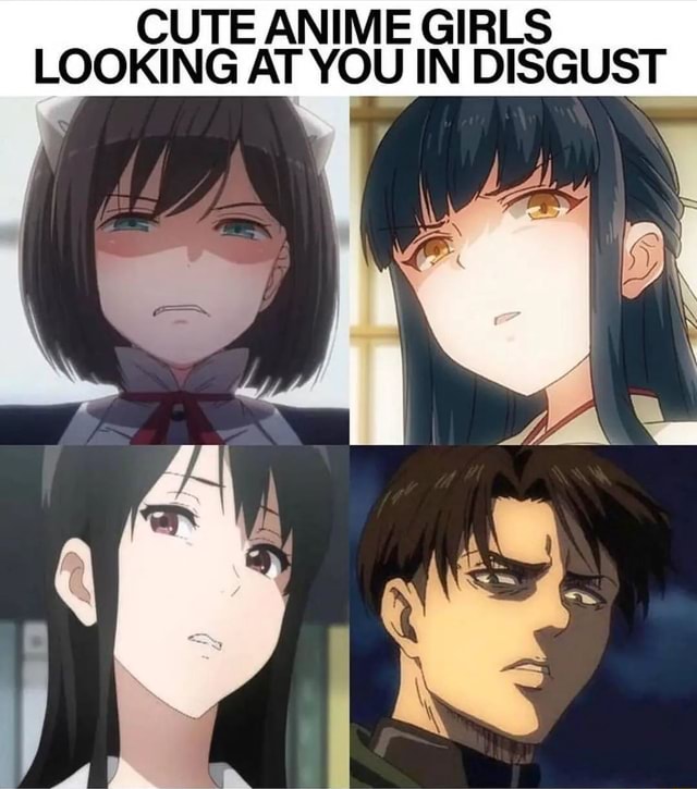 CUTE ANIME GIRLS LOOKING AT YOU IN DISGUST - iFunny