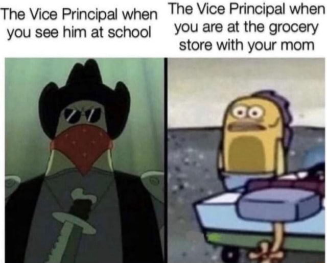 vice principal