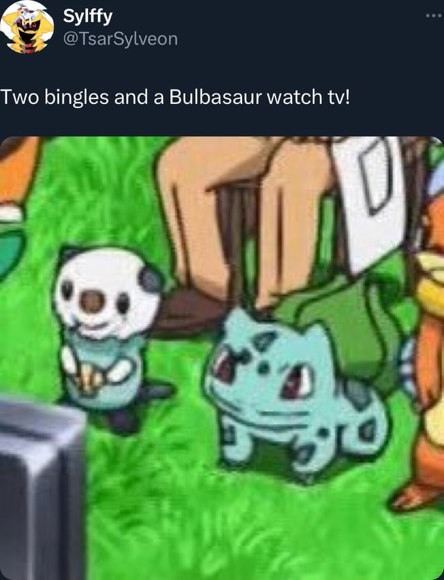 Two bingles and a Bulbasaur watch tv! I iFunny