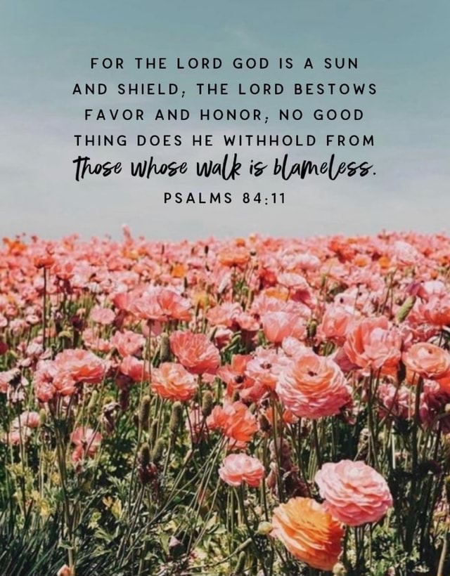 FOR THE LORD GOD IS A SUN AND SHIELD, THE LORD BESTOWS FAVOR AND HONOR ...