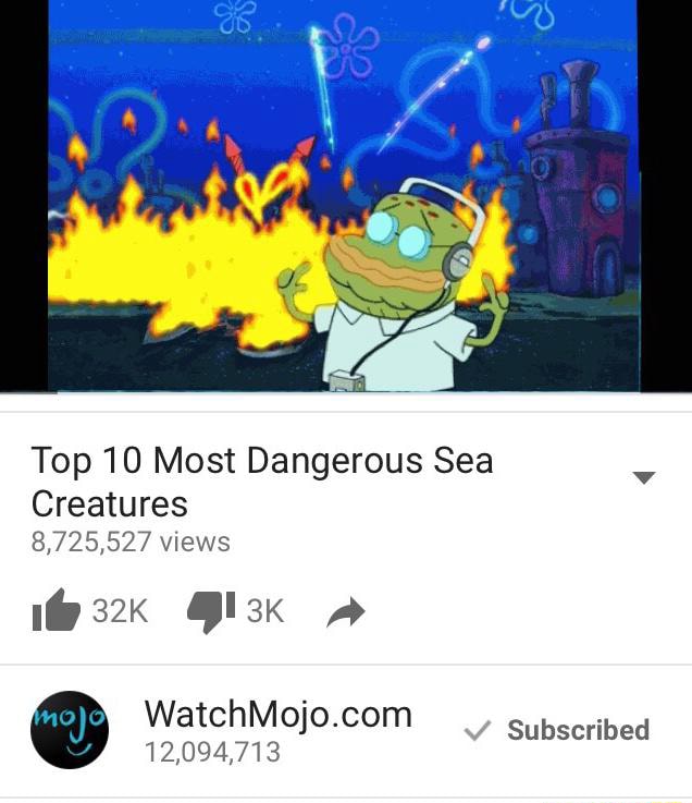 Top 10 Most Dangerous Sea Creatures In The World 2018 - vrogue.co